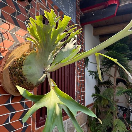 Grace Homestay Jincheng Exterior photo